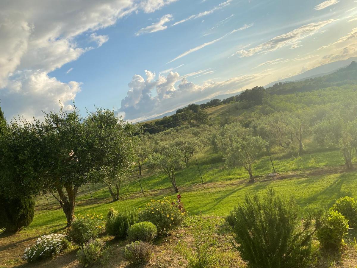 Agriturismo Palazzo Val Del Sasso Villa Villastrada  Exterior photo